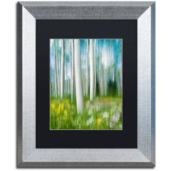 Trademark Fine Art "Aspen Impression" Canvas Art by Michael Blanchette Photography Black Matte, Silver Frame