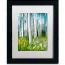 Trademark Fine Art "Aspen Impression" Canvas Art by Michael Blanchette Photography White Matte, Black Frame