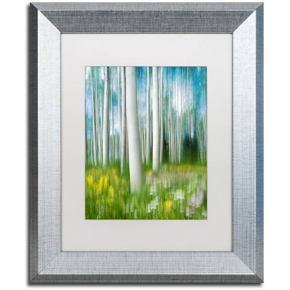 Trademark Fine Art "Aspen Impression" Canvas Art by Michael Blanchette Photography White Matte, Silver Frame