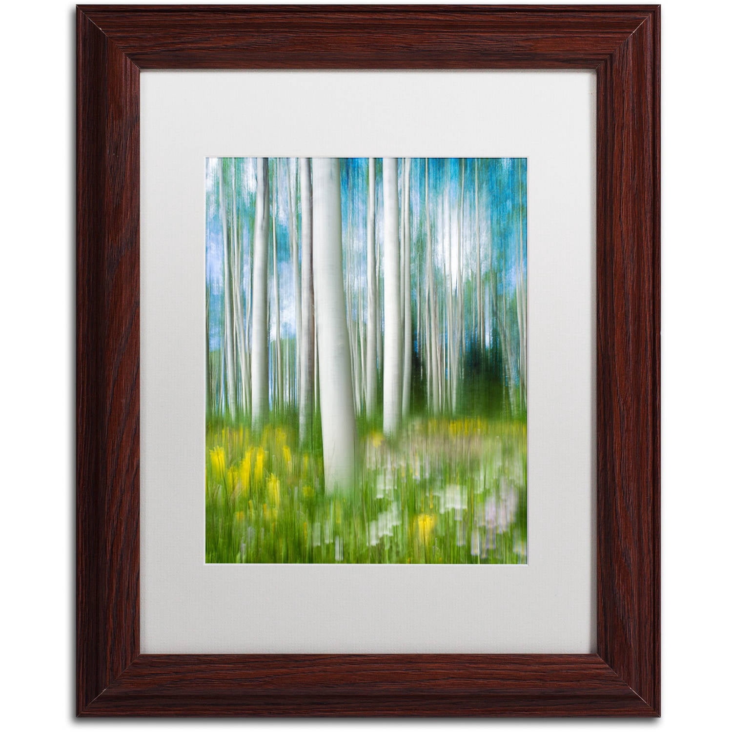 Trademark Fine Art "Aspen Impression" Canvas Art by Michael Blanchette Photography White Matte, Wood Frame