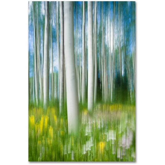 Trademark Fine Art "Aspen Impression" Canvas Art by Michael Blanchette Photography
