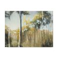 thumbnail image 1 of Trademark Fine Art 'Aspen Reverie' Canvas Art by Julia Purinton, 1 of 3