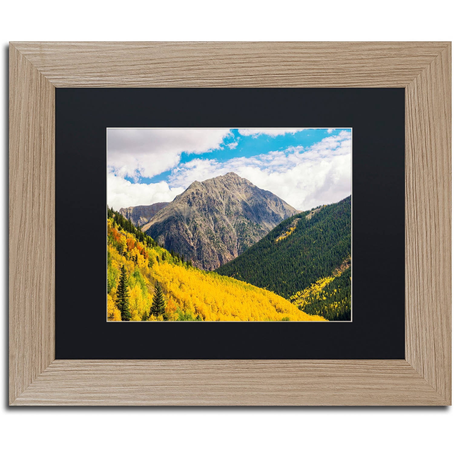 Trademark Fine Art "Aspen Slope" Canvas Art by Michael Blanchette Photography Black Matte, Birch Frame