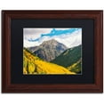 thumbnail image 1 of Trademark Fine Art "Aspen Slope" Canvas Art by Michael Blanchette Photography Black Matte, Wood Frame, 1 of 1
