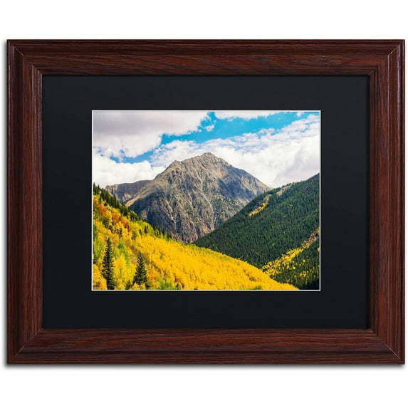 Trademark Fine Art "Aspen Slope" Canvas Art by Michael Blanchette Photography Black Matte, Wood Frame