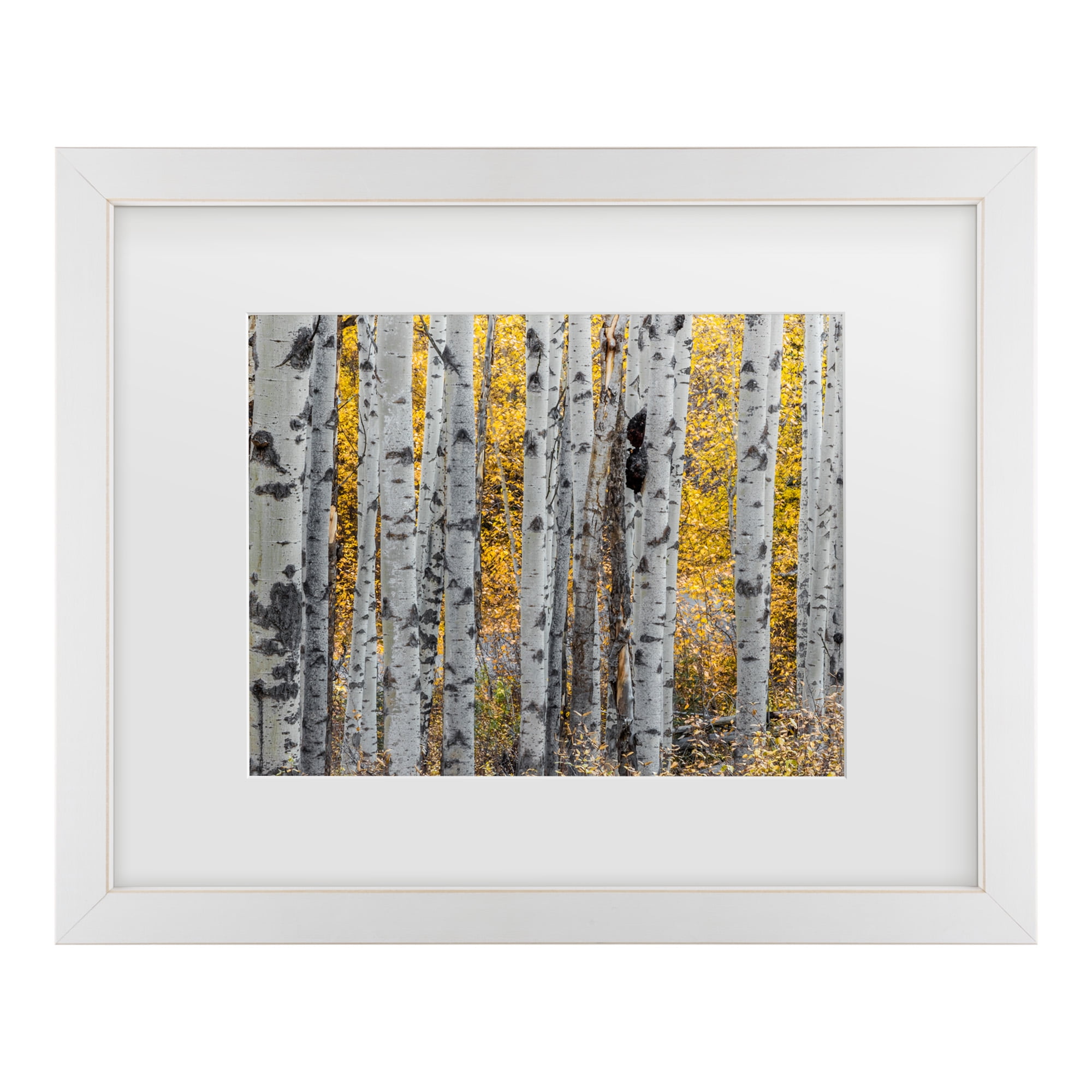 Trademark Fine Art 'Aspen Trees' Canvas Art by Pierre Leclerc