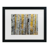 Trademark Fine Art 'Aspen Trees' Canvas Art by Pierre Leclerc