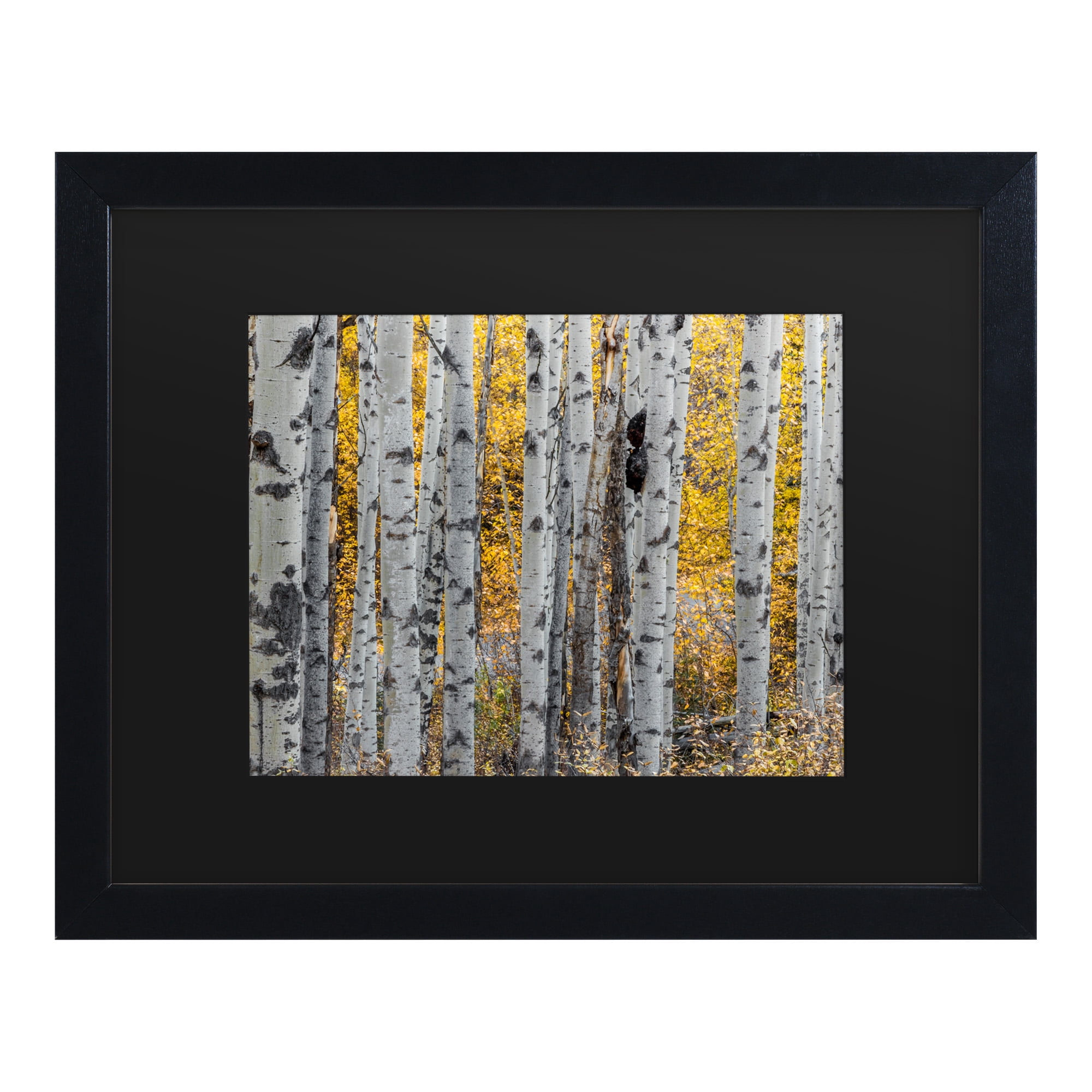 Trademark Fine Art 'Aspen Trees' Canvas Art by Pierre Leclerc