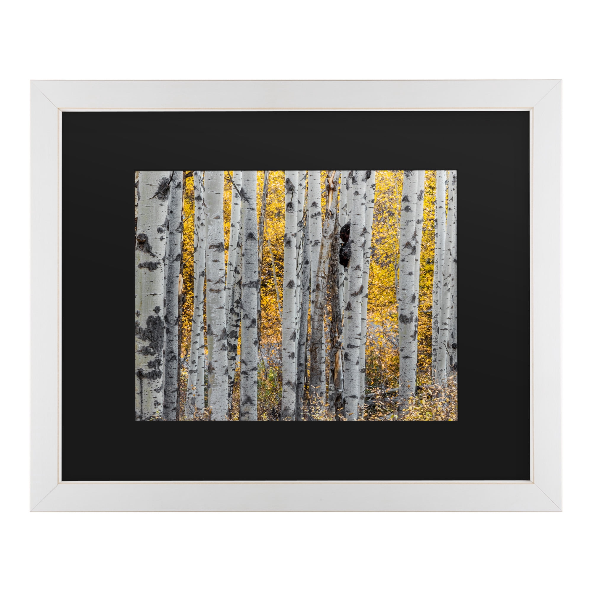 Trademark Fine Art 'Aspen Trees' Canvas Art by Pierre Leclerc