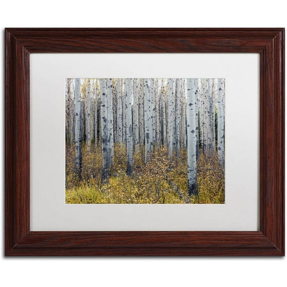 Trademark Fine Art 'Aspen Trees in Autumn' Canvas Art by Pierre Leclerc, White Matte, Wood Frame