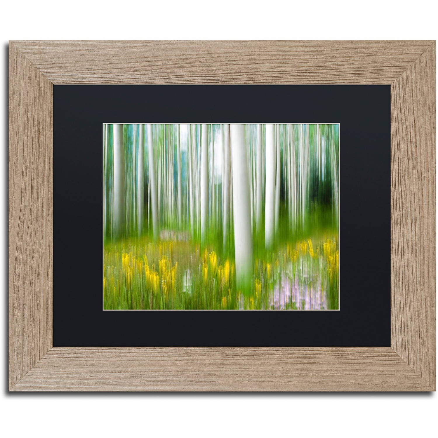 Trademark Fine Art "Aspen & Wildflower" Canvas Art by Michael Blanchette Photography Black Matte, Birch Frame
