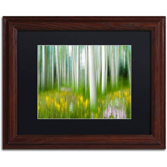 Trademark Fine Art "Aspen & Wildflower" Canvas Art by Michael Blanchette Photography Black Matte, Wood Frame