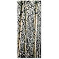thumbnail image 1 of Trademark Fine Art "Aspen Winter Panel 02" Canvas Art by Roderick Stevens, 1 of 1