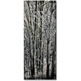 thumbnail image 1 of Trademark Fine Art "Aspen Winter Panel 03" Canvas Art by Roderick Stevens, 1 of 1