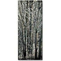 Trademark Fine Art "Aspen Winter Panel 03" Canvas Art by Roderick Stevens