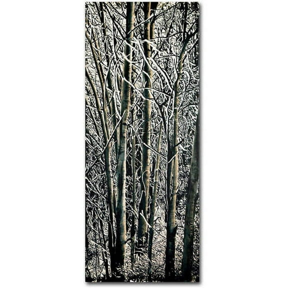 Trademark Fine Art "Aspen Winter Panel 03" Canvas Art by Roderick Stevens