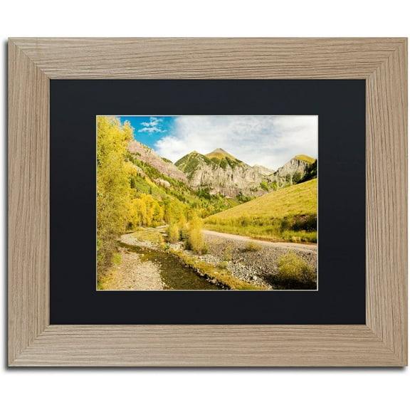 Trademark Fine Art "Aspen Yellows" Canvas Art by Michael Blanchette Photography Black Matte, Birch Frame