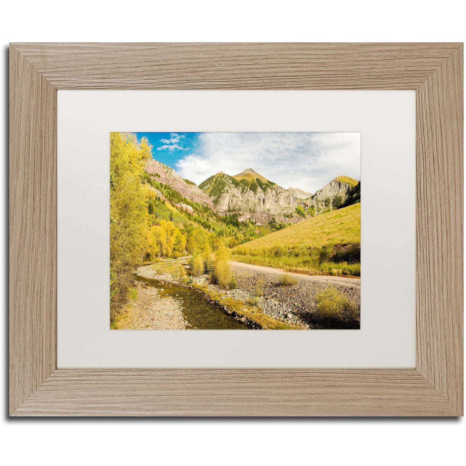 Trademark Fine Art "Aspen Yellows" Canvas Art by Michael Blanchette Photography White Matte, Birch Frame
