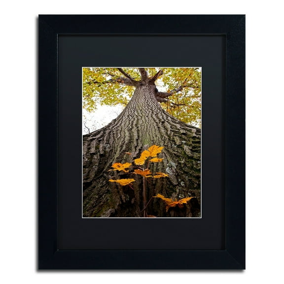 Trademark Fine Art "Aspiring to New Heights" Canvas Art by Kurt Shaffer, Black Matte, Black Frame