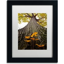 Trademark Fine Art "Aspiring to New Heights" Canvas Art by Kurt Shaffer, White Matte, Black Frame