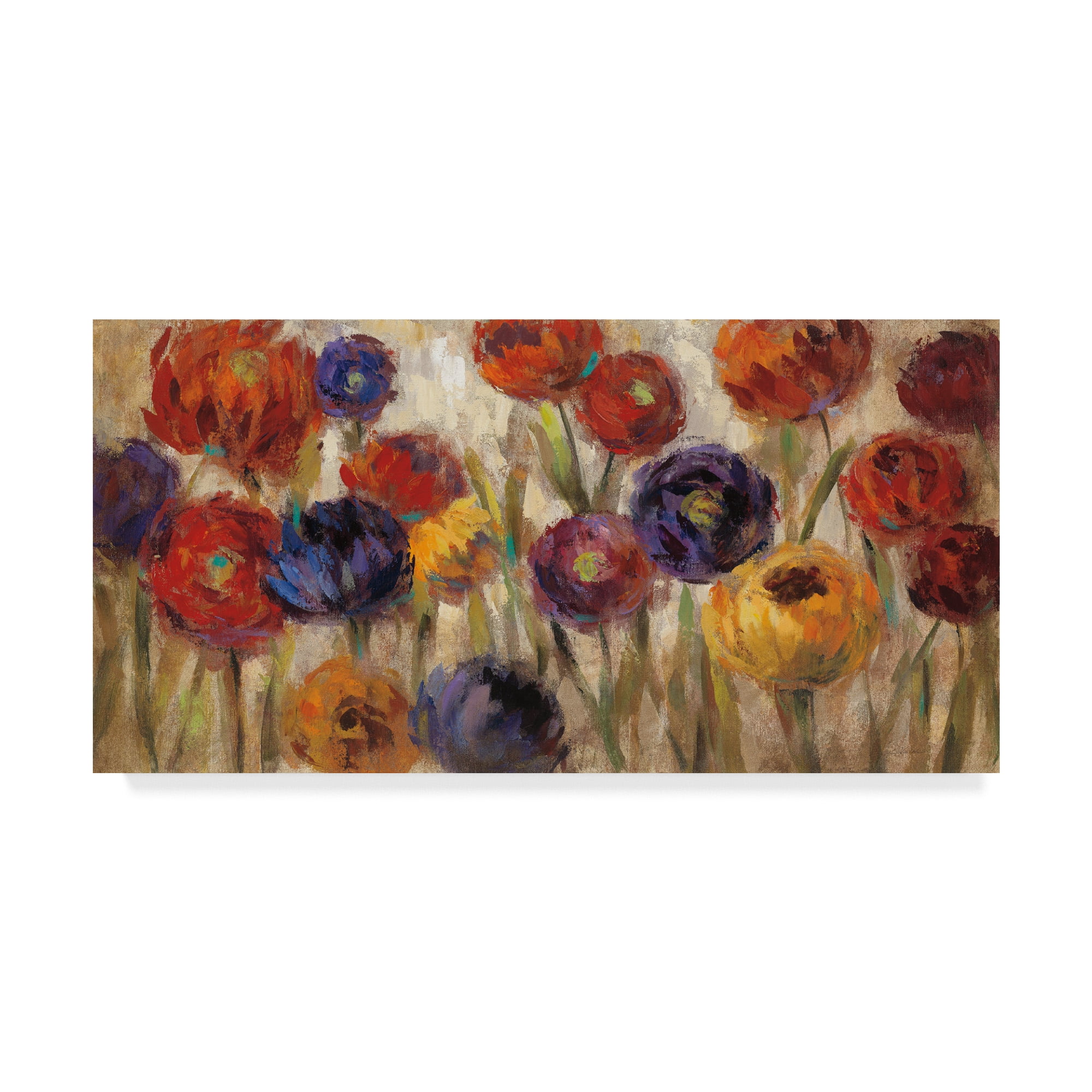 Trademark Fine Art 'Asters and Mums' Canvas Art by Silvia Vassileva
