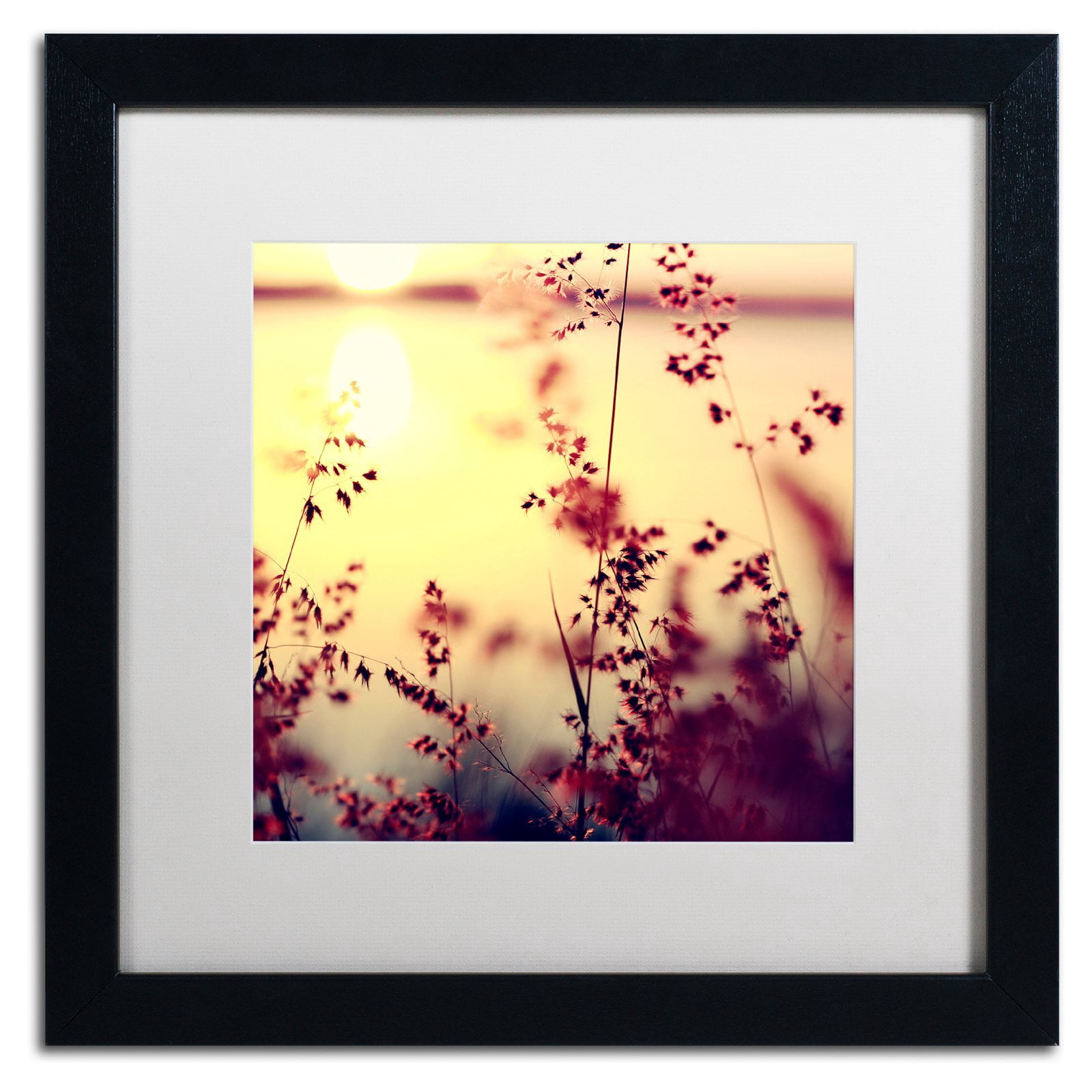 Trademark Fine Art "At the End of the Day" Canvas Art by Beata Czyzowska Young, White Matte, Black Frame