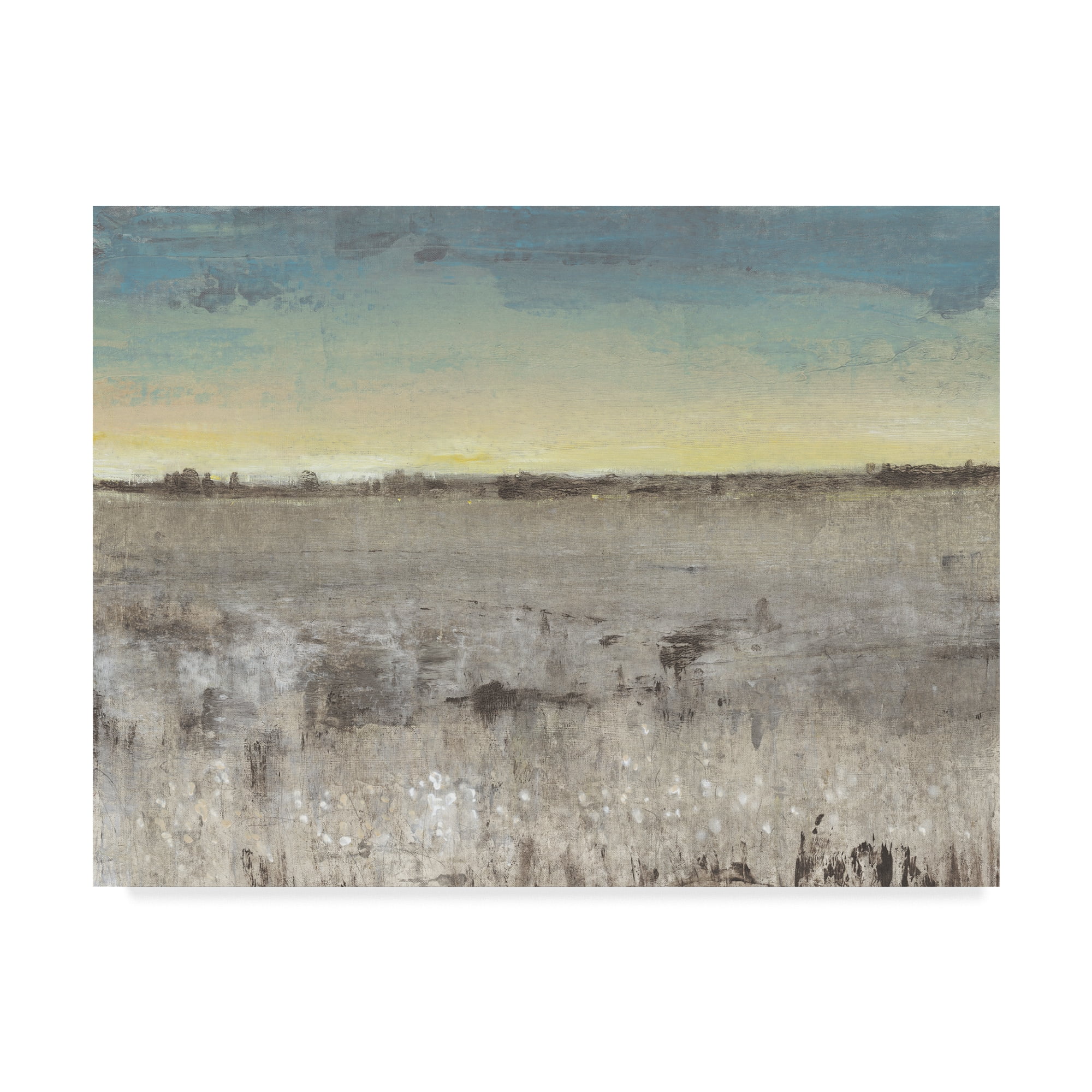 Trademark Fine Art 'Atmosphere II' Canvas Art by Tim OToole