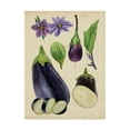 thumbnail image 1 of Trademark Fine Art 'Aubergine Study I' Canvas Art by Melissa Wang, 1 of 4