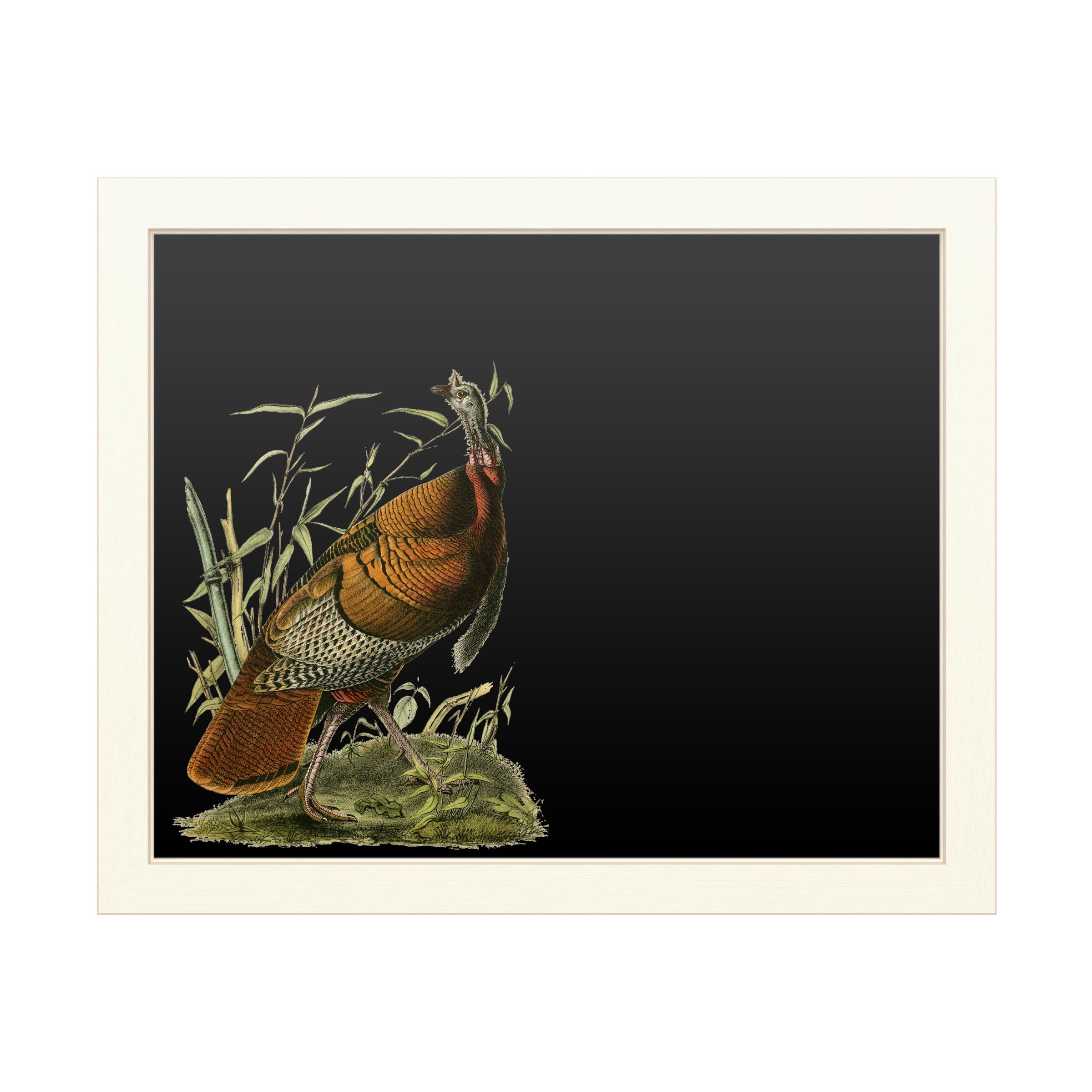 Trademark Fine Art 'Audubon Wild Turkey' Chalkboard by John James Audubon
