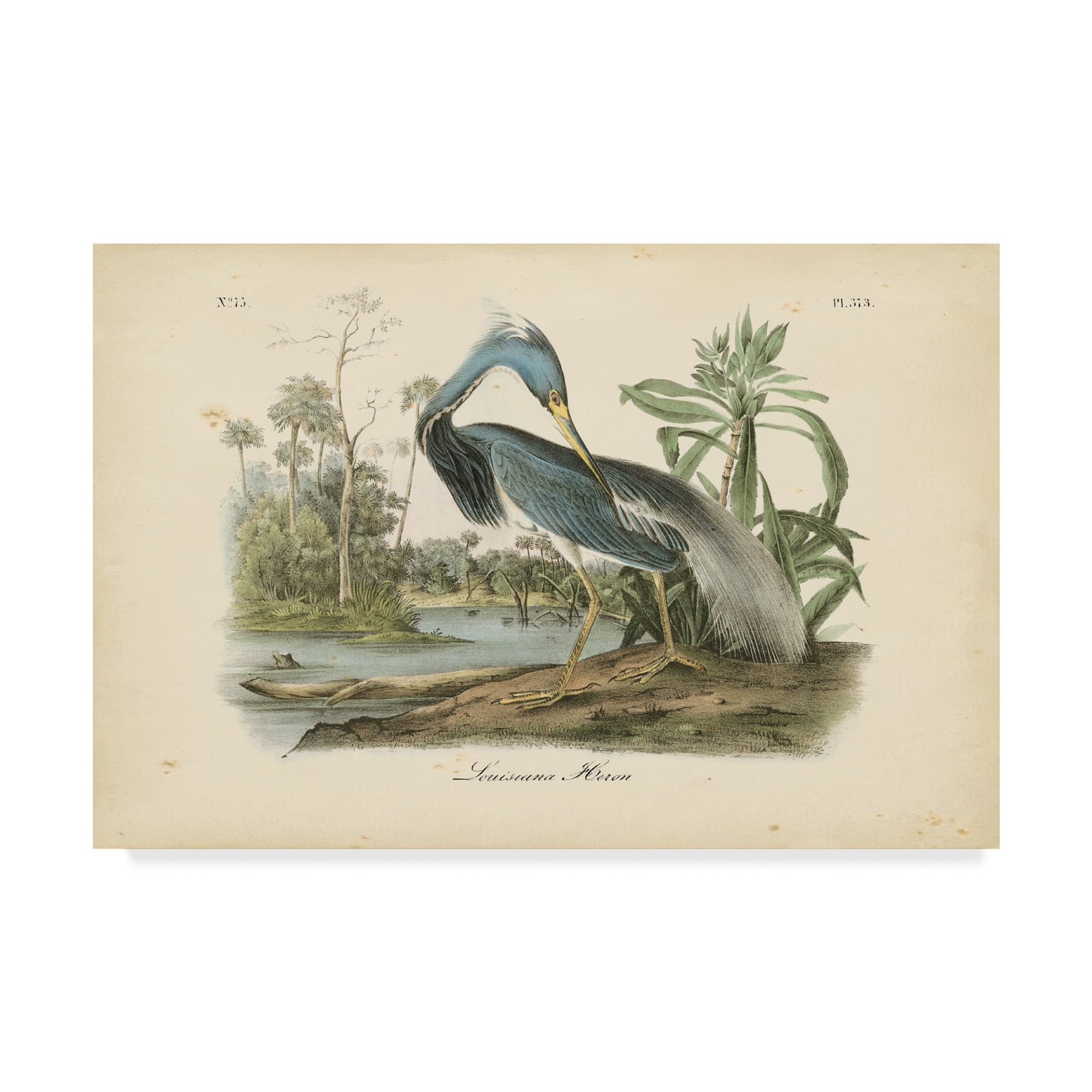 Mid-Century Modern Framed Heron Canvas Art, 12 x 19 Inches