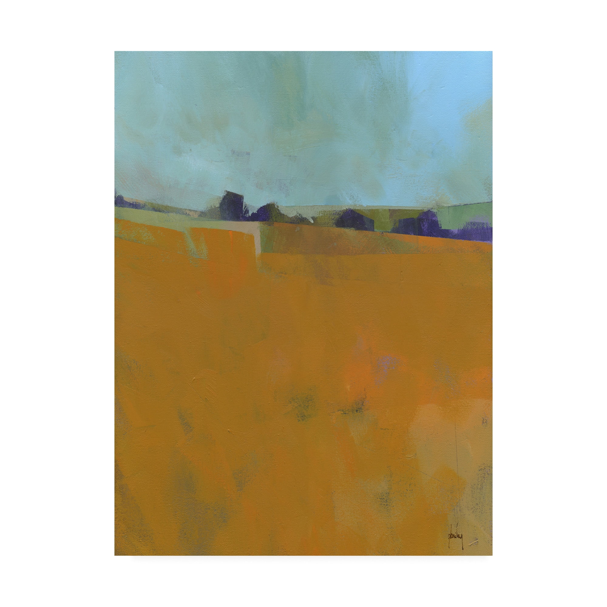 Trademark Fine Art 'August Fields' Canvas Art by Paul Baile