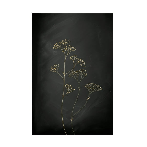 Trademark Fine Art Aureous Black Gold Botanical No 1 Canvas Wall Art