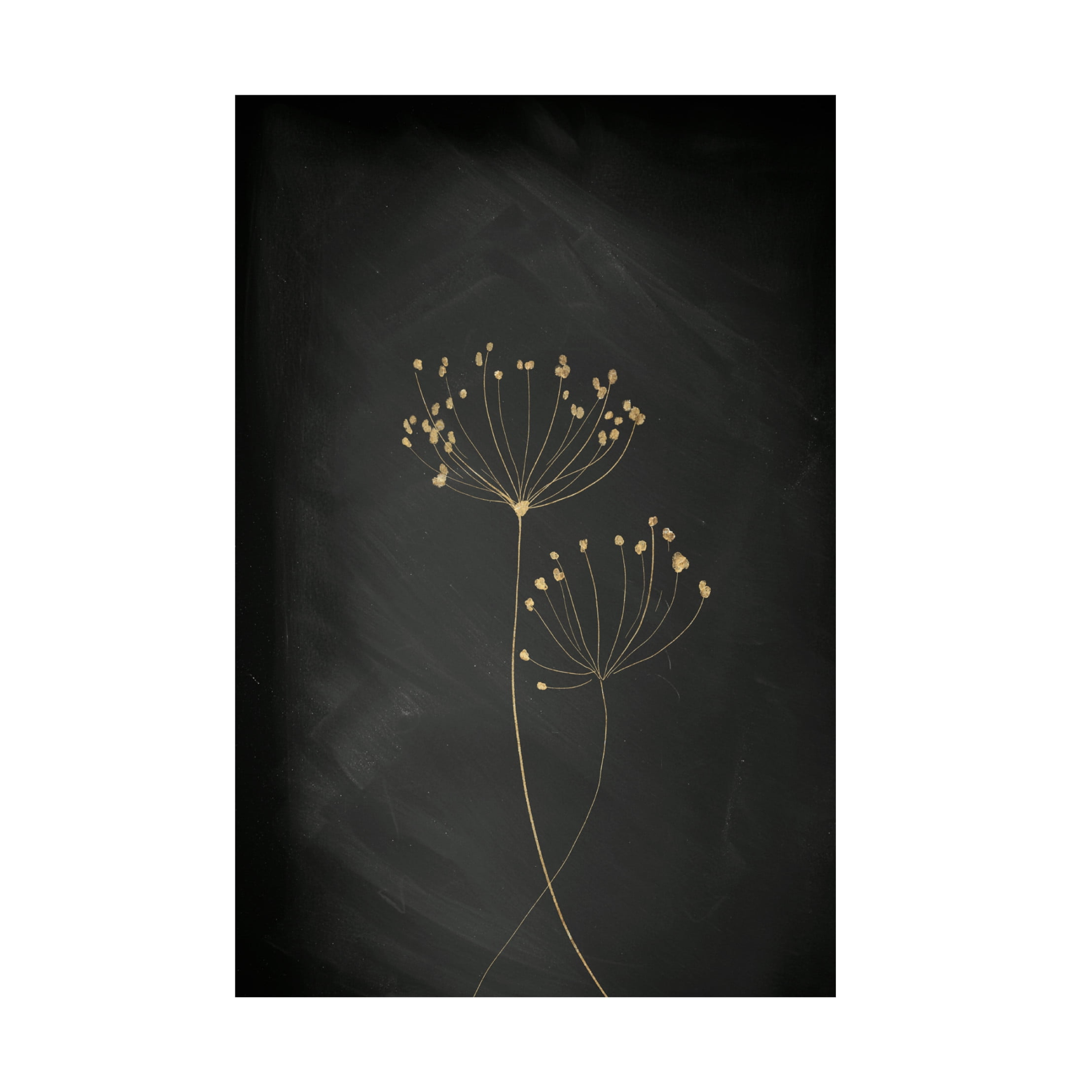 Trademark Fine Art Aureous   Black Gold Botanical No 2 Canvas Wall Art