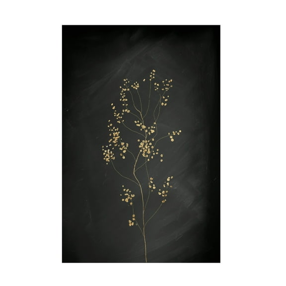Trademark Fine Art Aureous Black Gold Botanical No 3 Canvas Wall Art
