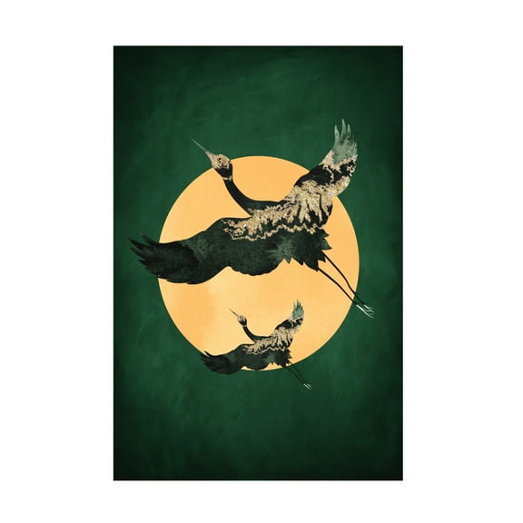 Trademark Fine Art Aureous Emerald Sun a Cranes Canvas Wall Art