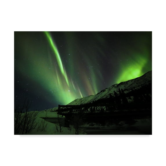 Trademark Fine Art 'Aurora Delight' Canvas Art by Brenda Petrella Photography Llc