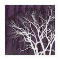 thumbnail image 1 of Trademark Fine Art 'Aurora Silhouette I' Canvas Art by Alicia Ludwig, 1 of 4