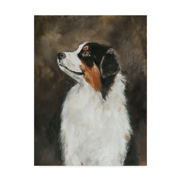 Trademark Fine Art 'Australian Shepherd Abstract' Canvas Art by Solveiga
