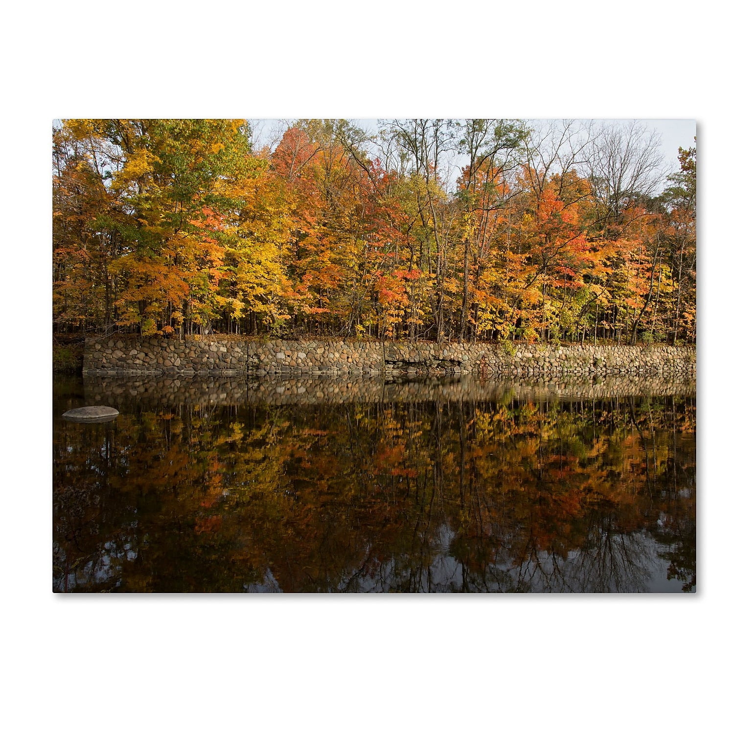 Trademark Fine Art "Autumn Along the Rocky River" Canvas Art by Kurt Shaffer