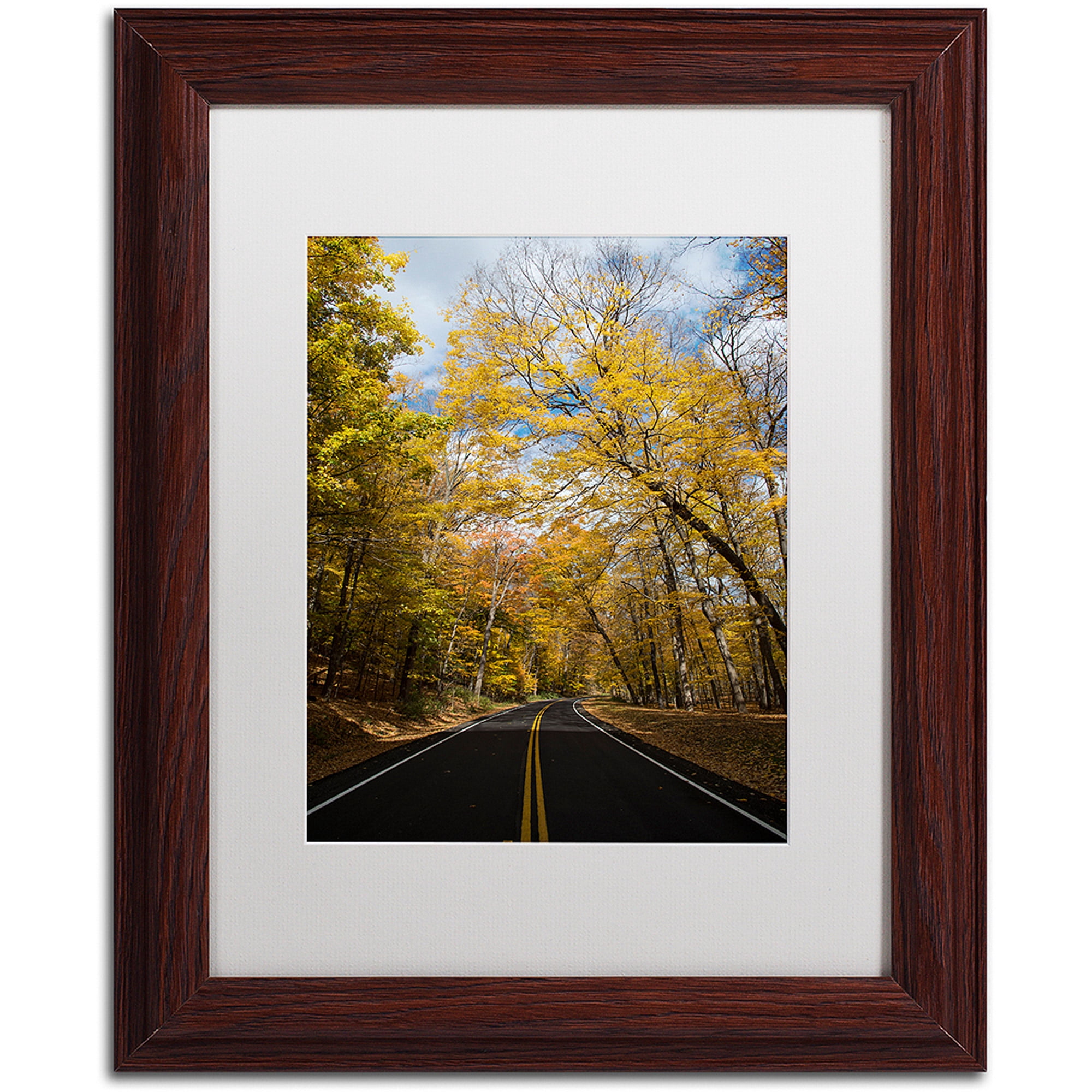 Trademark Fine Art "Autumn Along the Valley Park" Canvas Art by Kurt Shaffer, White Matte, Wood Frame