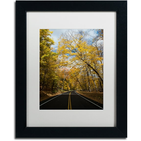 Trademark Fine Art "Autumn Along the Valley Parkway 2" Canvas Art by Kurt Shaffer, White Matte, Black Frame