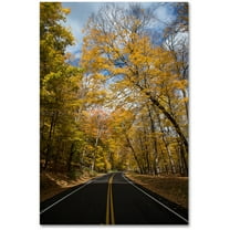 Trademark Fine Art "Autumn Along the Valley Parkway 2" Canvas Art by Kurt Shaffer