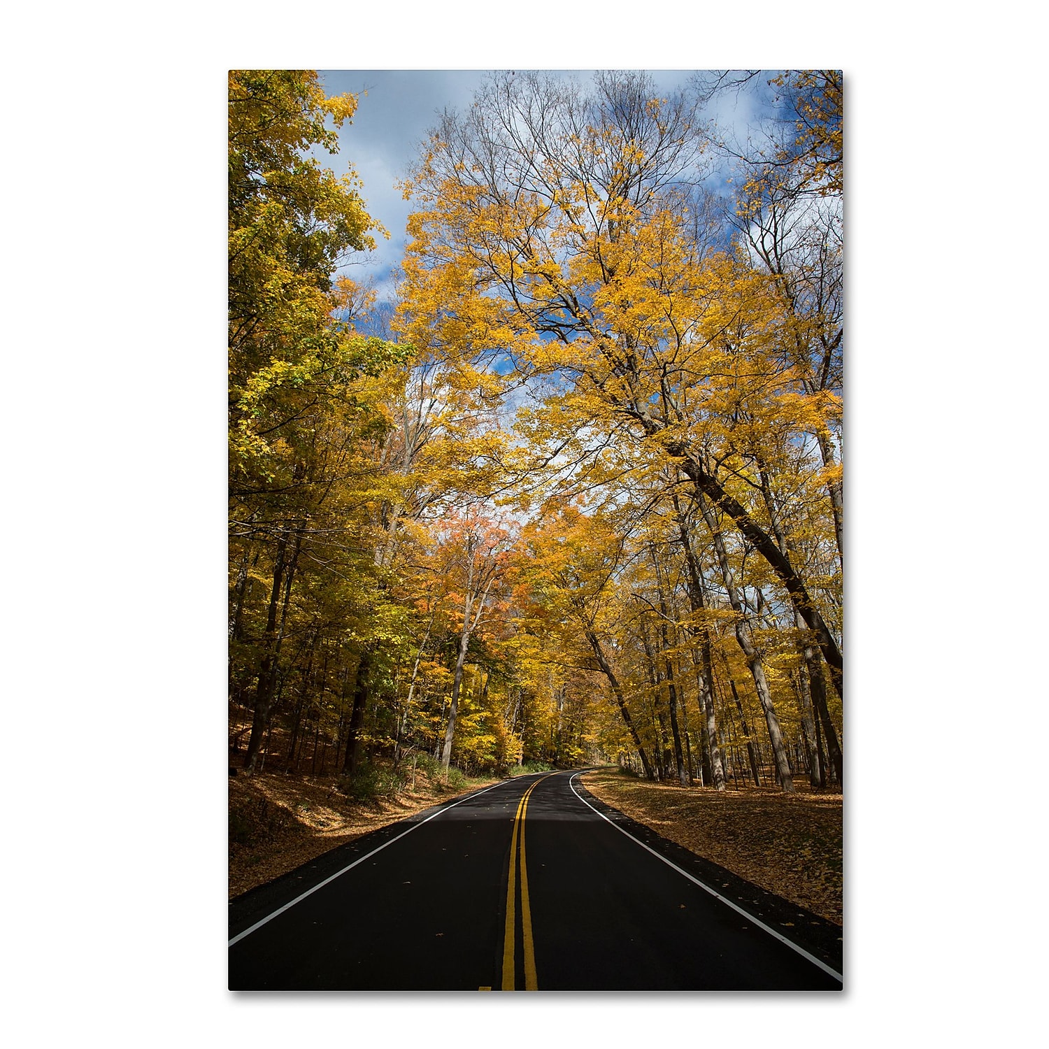 Trademark Fine Art "Autumn Along the Valley Parkway 2" Canvas Art by Kurt Shaffer