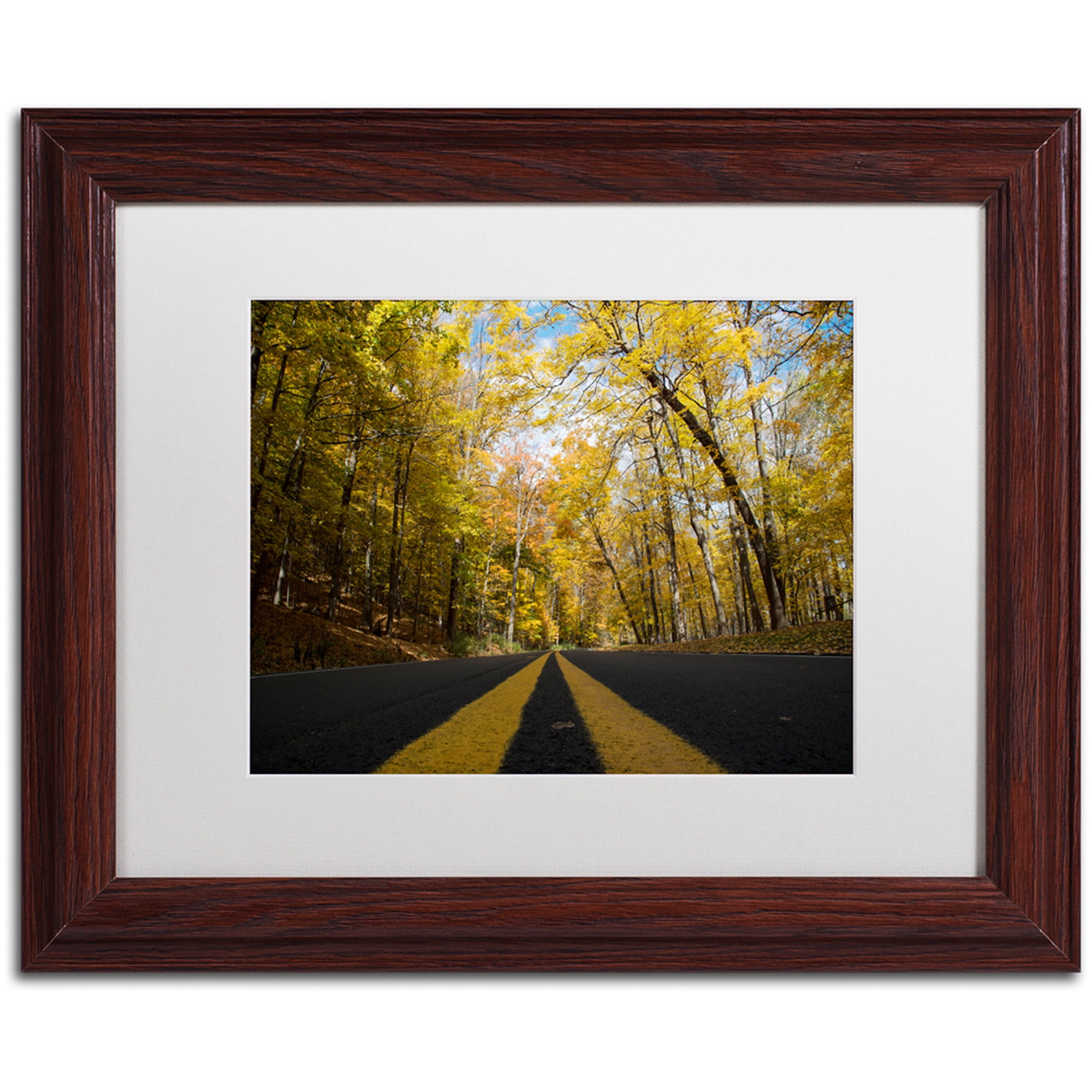 Trademark Fine Art "Autumn Along the Valley Parkway" Canvas Art by Kurt Shaffer, White Matte, Wood Frame