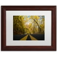 thumbnail image 1 of Trademark Fine Art "Autumn Along the Valley Parkway" Canvas Art by Kurt Shaffer, White Matte, Wood Frame, 1 of 1