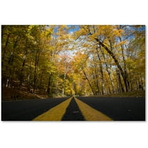 Trademark Fine Art "Autumn Along the Valley Parkway" Canvas Art by Kurt Shaffer