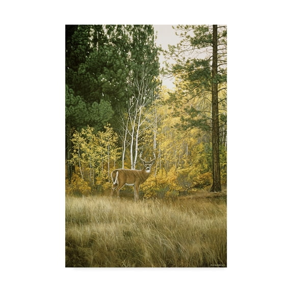 Trademark Fine Art 'Autumn Aspen White Tailed Deer' Canvas Art by Ron Parker