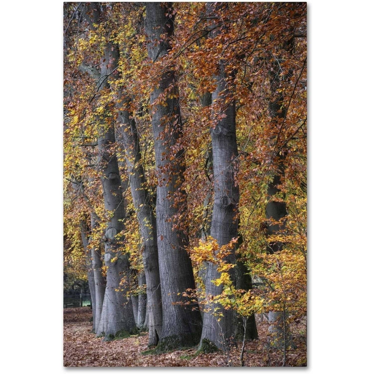 Autumn Landscape Framed Canvas Art in Wood Frame
