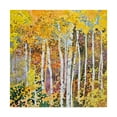 thumbnail image 1 of Trademark Fine Art 'Autumn Birches White' Canvas Art by Sharon Pitts, 1 of 3