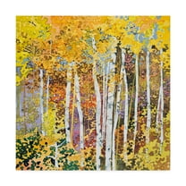 Trademark Fine Art 'Autumn Birches White' Canvas Art by Sharon Pitts